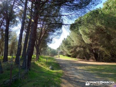 Cañón Río Aulencia-Embalse Valmenor; rutas por las merindades amigos de madrid serra do courel ri